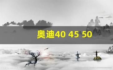 奥迪40 45 50 55代表什么